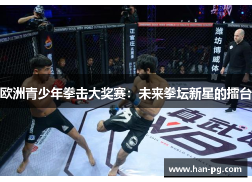欧洲青少年拳击大奖赛：未来拳坛新星的擂台