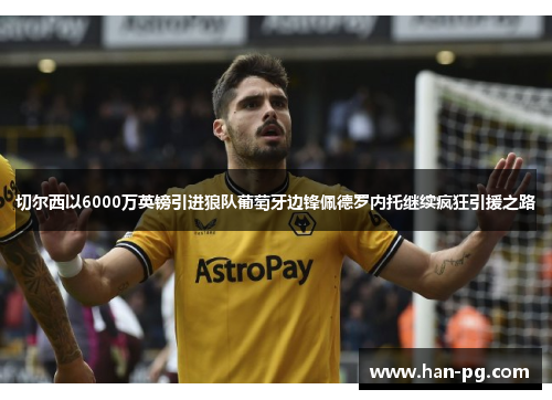 切尔西以6000万英镑引进狼队葡萄牙边锋佩德罗内托继续疯狂引援之路